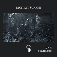digital tsunami 03 - paul gorbach - 28.05.19 by stayfm
