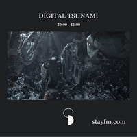 digital tsunami 09 - paul  gorbach - 29.11.19 by stayfm
