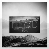 FLOD Vol.25 Guest Mix By Paranoid Soul(I Am A Paranoid SouL) by FLOD