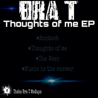 Bra T - Rontech (Original mix) by Bra T