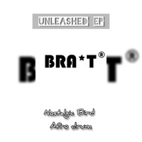 Bra T - Nostalgic Bird(Nostalgic Mix).mp3 by Bra T