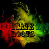 MEDITATE ZONE ROOTS VOL 4. by Tonyy_MeditateZone