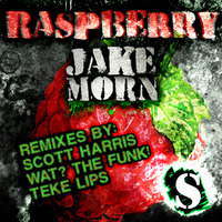 Jake Morn - Raspberry (Teke Lips Remix) by Karol Mroczek