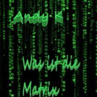 Was Ist Die Matrix by Andy Kittner