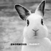 Enormous - Rabbit (Original-Mix) by enormous