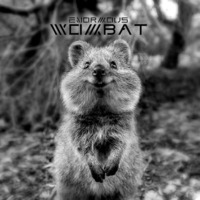 Enormous - Wombat (Original-Mix) Progressive Psy!!! by enormous