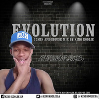 Evolution by King Koolie