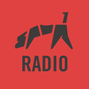 SPUR1-Radio