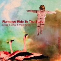 Diego Suarez &amp; MadMaxim - Flamingo Ride To The Stars by MadMaxim