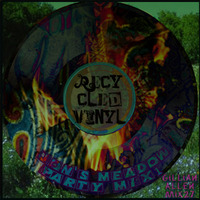 Recycled Vinyl Mix 27 by Gillian Allen