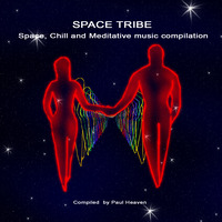 Space Tribe by Paul Heaven