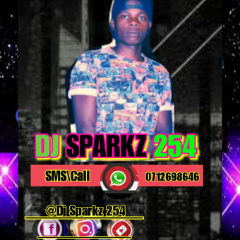 DJ SPARKZ 254