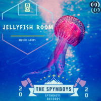 Jellyfish Room by The Spymboys