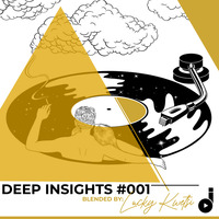 Deep Insights 001 Blended By Lucky Kwetsi by Deep Insights
