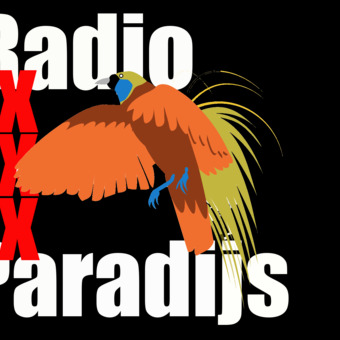 Radio Paradijs