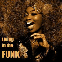Living in the FUNK by FUNKZONE