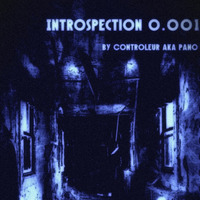 Introspection 0.001 by Pano Doubleface