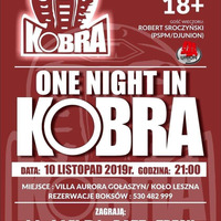 One Night in Kobra by V_Valdi
