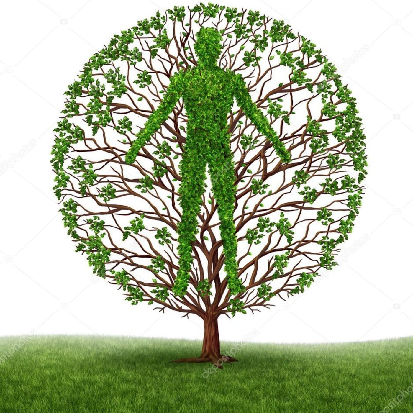 Experiencing Christ Teachings