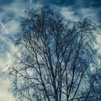 copernicus - prog mix2 by copernicus