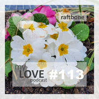 Raftbone - My Love 113 by rene qamar