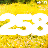 AMDJS Radio Show VOL258 (Feodor AllRight) by AMDJS