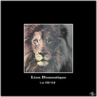 Lion Domestique ▶La Vérité by Tchik Tchak Records