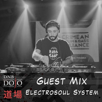 Guest Mix: Electrosoul System by DNB Dojo