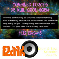 Part of Combined Forces 2018 Bagged Vinyl Set by flark