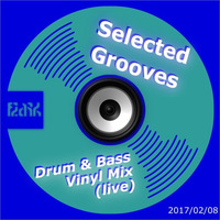 Selected Grooves (Drum & Bass Vinyl Liveset) by flark