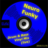 Neuro Funky Drum & Bass (Vinyl Mix) by flark