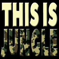 Jamie Bostron - This Is Jungle 4 by Jamie Bostron
