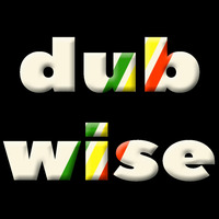 Jamie Bostron - This is Dubwise 5 by Jamie Bostron