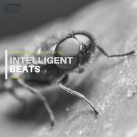 Intelligent beats '20.02 by STE
