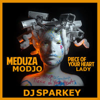 Modjo vs Meduza - Lady Piece Of Your Heart (Dj Sparkey) by DjSparkey