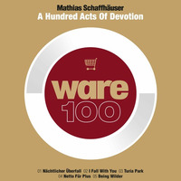 A Hundred Acts Of Devotion / Ware 100 _ Snippetmix by mathias schaffhäuser