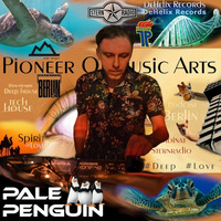 Kombinat Sternradio - Pale Penguin 🐧 by Daniel De Sol