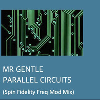 Parallel Circuits (Spin Fidelity Freq Mod Mix) by Mr Gentle