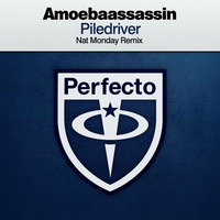 Amoebaassassin - Piledriver (Nat Monday Extended Remix) by Juan Paradise
