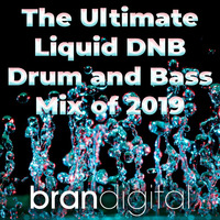 The Ultimate Liquid DNB Drum and Bass Mix of 2019 by Brandigital