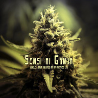 Sensi Mi Ganja - Drum &amp; Bass Jungle Mix (29.12.2019) by Murphies Law