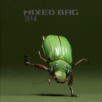 Mixed bag 34 by Bobby Lloyd