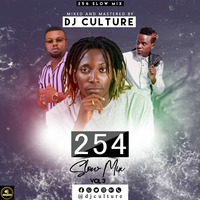 Dj Culture - 254 SlowMix Vol.3 (RnB) by DJ Culture 254