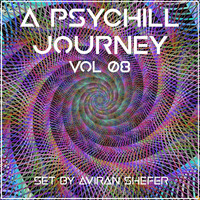 A Psychill journey Pt. 08 by Aviran's Music Place