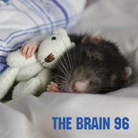The Brain - Die Mini-Dadashow #96 by Pi Radio
