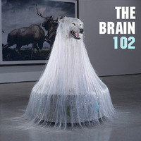 The Brain - Die Mini-Dadashow #102 by Pi Radio