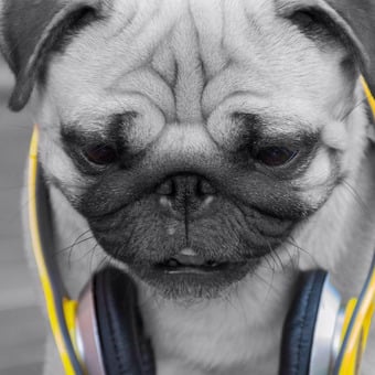 Sergio Sanchez Moreno