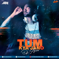Tum Kya Jano (Remix) - DJ Anne by MumbaiRemix India™