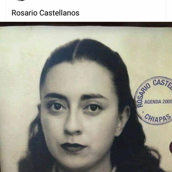 Ana Yanethe Alejandra Castorena Rojas