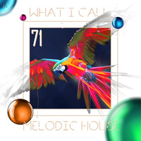 What I Call Melodic House Vol.71 by Emre K.